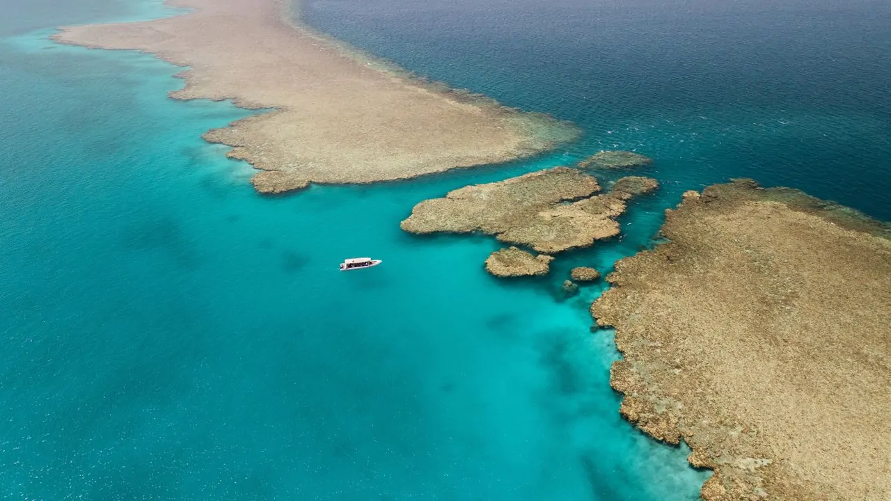 Speedboat