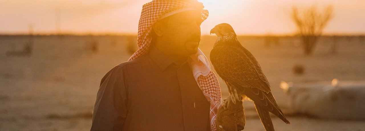 Falconry