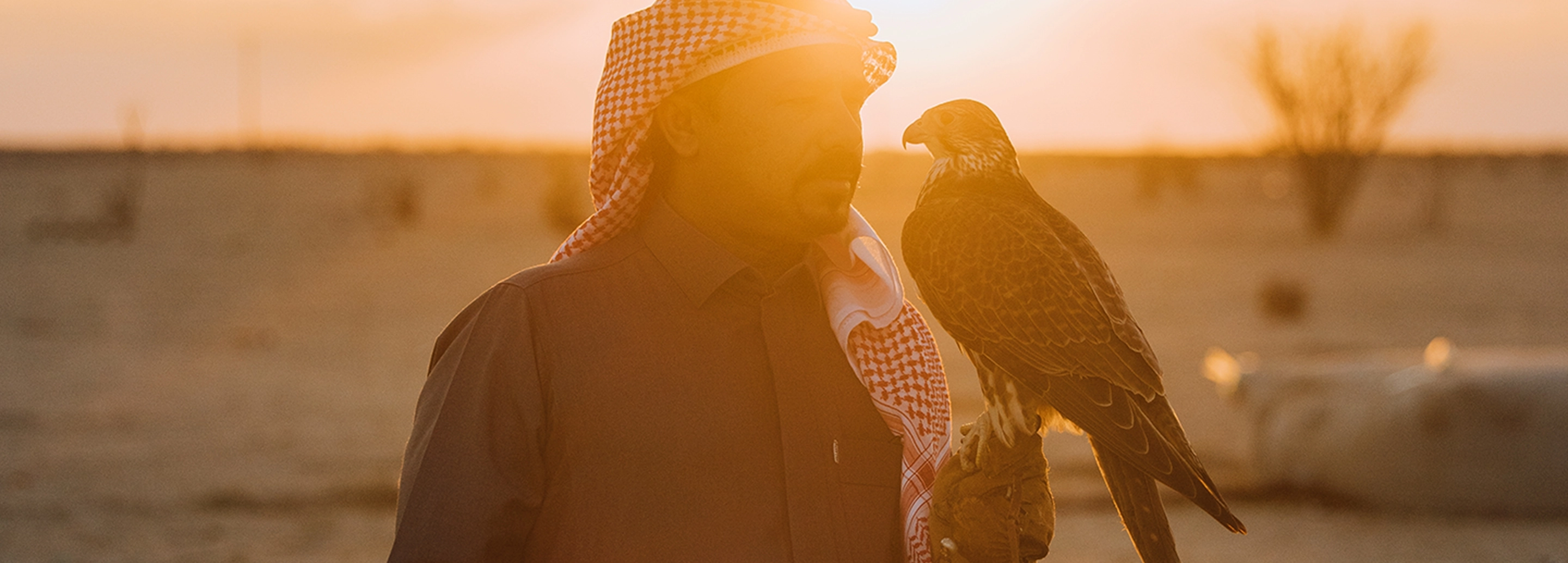 Falconry