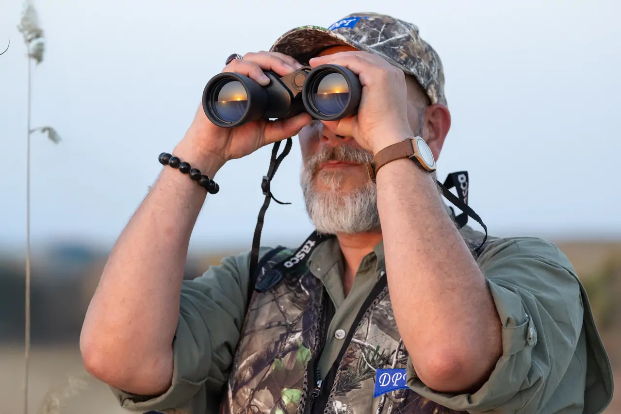 تجربة الصقارة الأصيلة