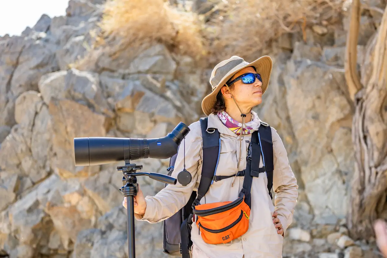 مسارات المشي