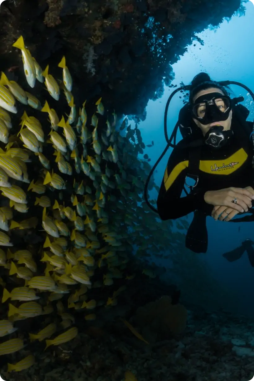 Entry level Scuba Diving Courses