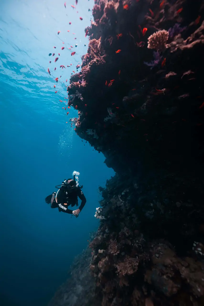 Entry Level Course - Discover Scuba Diving