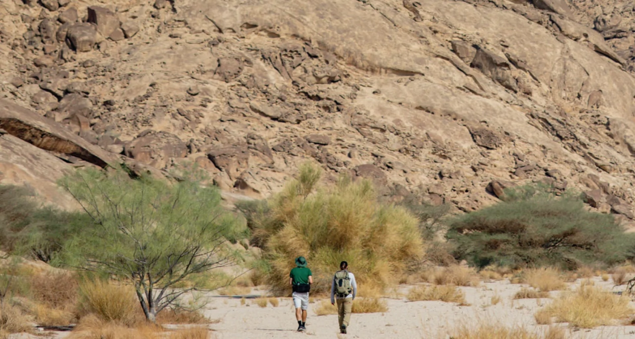 Nomadic Survival Skills