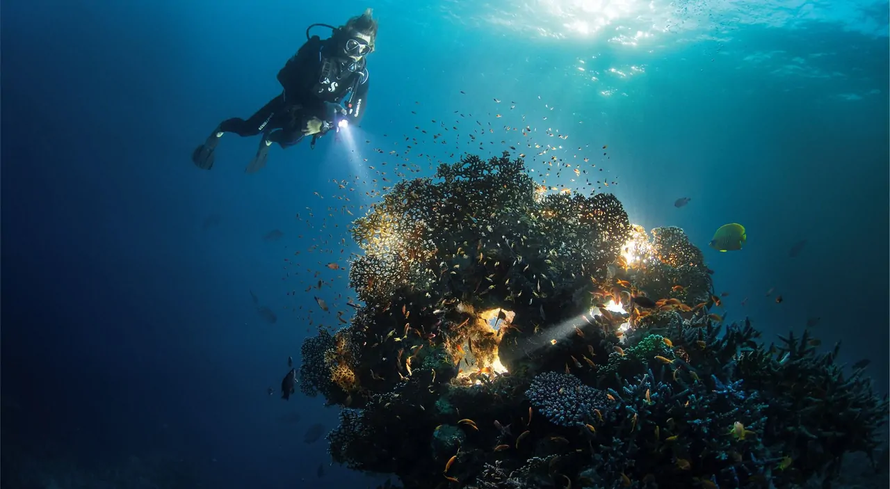 Scuba Diving
